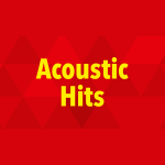 104.6 RTL Acoustic Hits