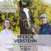 Pferde verSTEHN