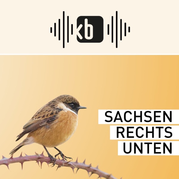 Sachsen rechts unten